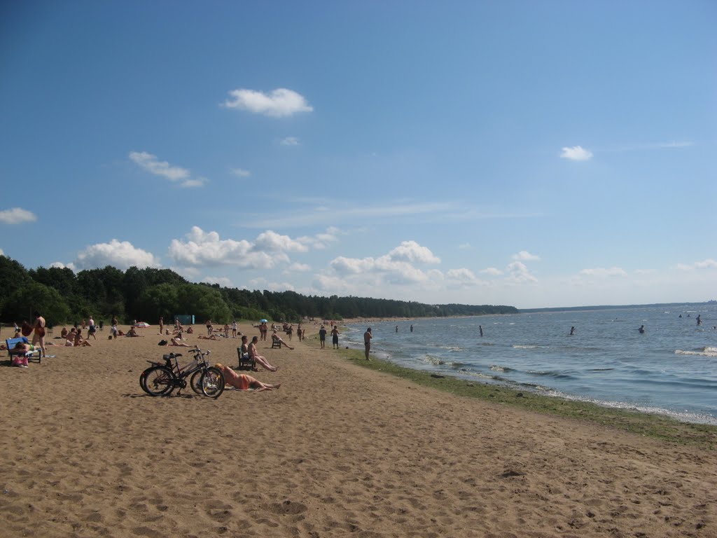 Пляжи Санкт-Петербурга: где можно купаться, а где нет