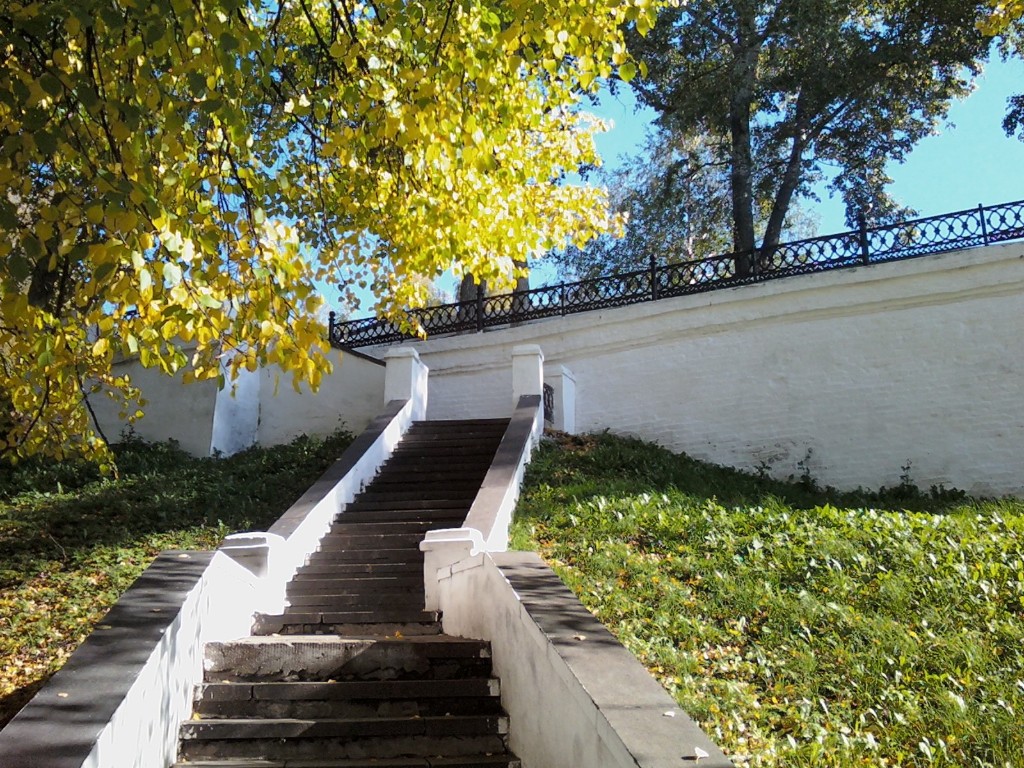 Какие паркие есть в Костроме