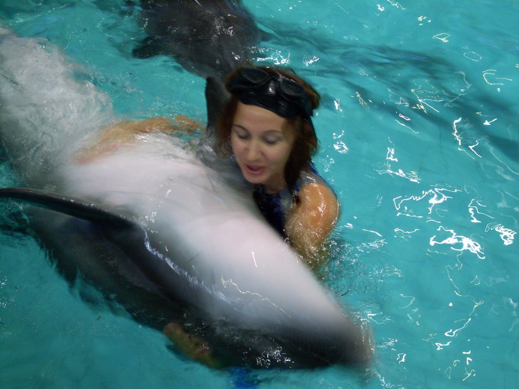 Дельфинарий в Лоо
