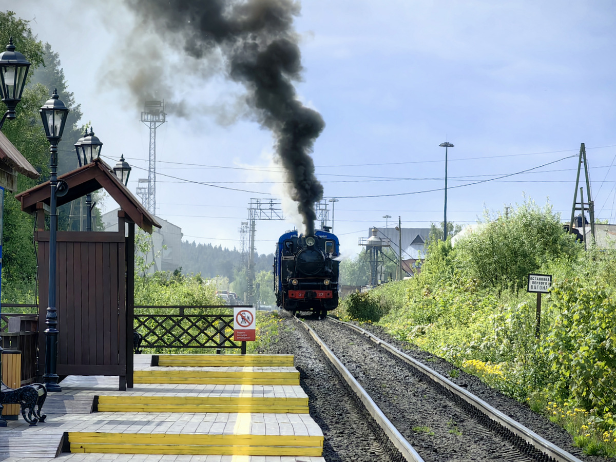 Новый туристический поезд в Карелии «Ладожская Нерпочка»: маршрут, расписание и билеты